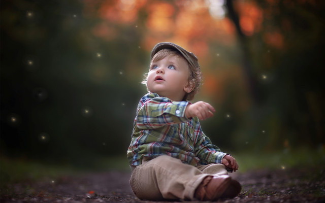 Little boy woods looking up free wallpaper - medium preview image