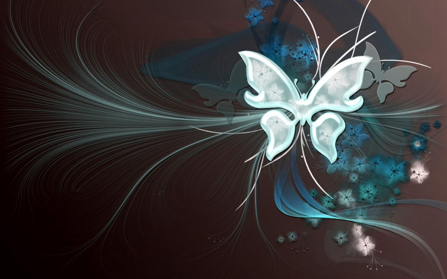 Blue white butterfly black background free wallpaper - medium preview image