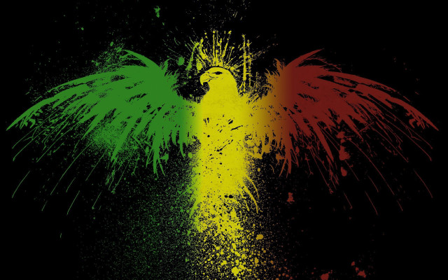 Colorful bird black yellow green free wallpaper - medium preview image