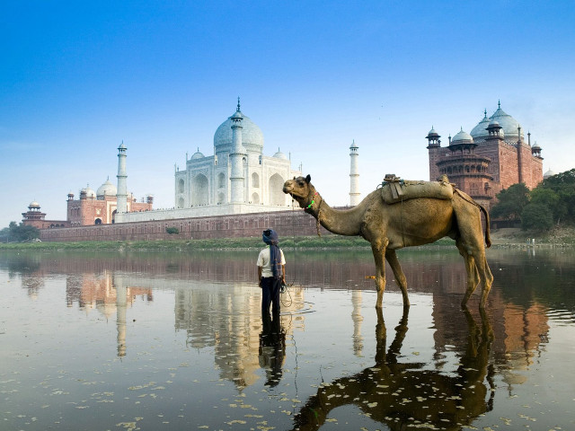 Man camel water white dome free wallpaper - medium preview image