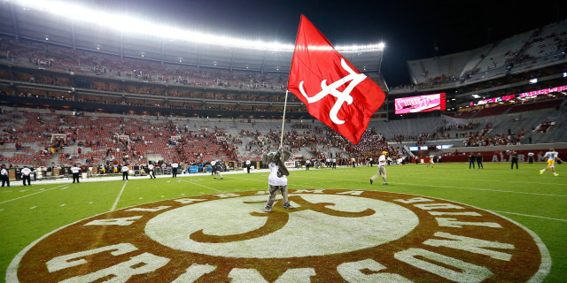 Man holding flag field stadium free wallpaper - medium preview image