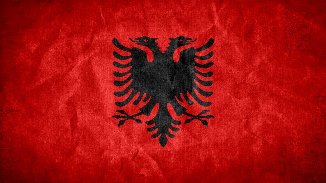 Black red bird red background free wallpaper - medium preview image