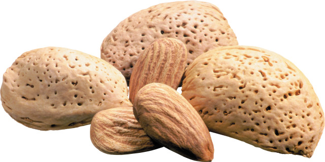 Nuts group sitting white surface free wallpaper - medium preview image