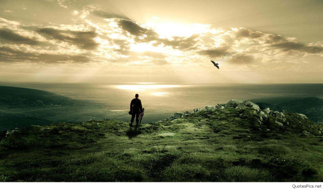 Man hill ocean bird flying #3 free wallpaper - medium preview image