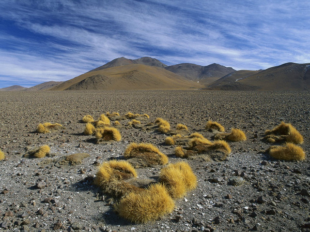 Desert grass mountains blue sky free wallpaper - medium preview image