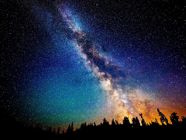 Night sky bright star tree #2 free wallpaper - medium preview image