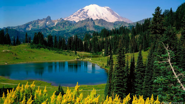 Mountain lake trees foreground nature free wallpaper - medium preview image