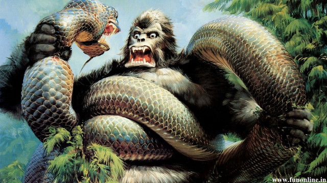 Gorilla holding snake background gorilla free wallpaper - medium preview image