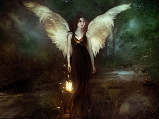 Woman wings lantern forest trees free wallpaper - medium preview image