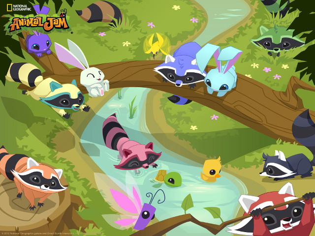 Raccoons woods stream water tree free wallpaper - medium preview image