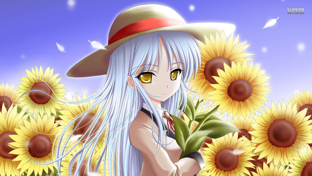 Girl white hair hat sunflowers free wallpaper - medium preview image
