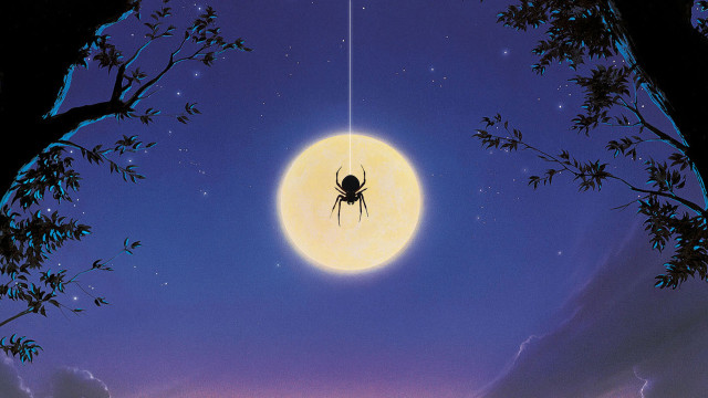 Spider hanging string sky tree free wallpaper - medium preview image