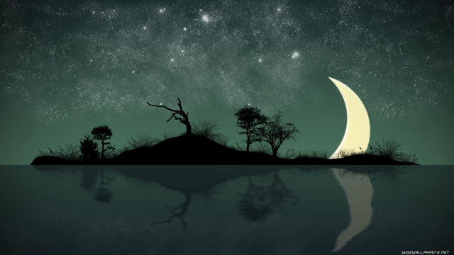 Night scene half moon trees free wallpaper - medium preview image