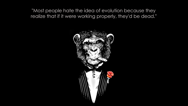 Monkey tuxedo rose lapel quote free wallpaper - medium preview image