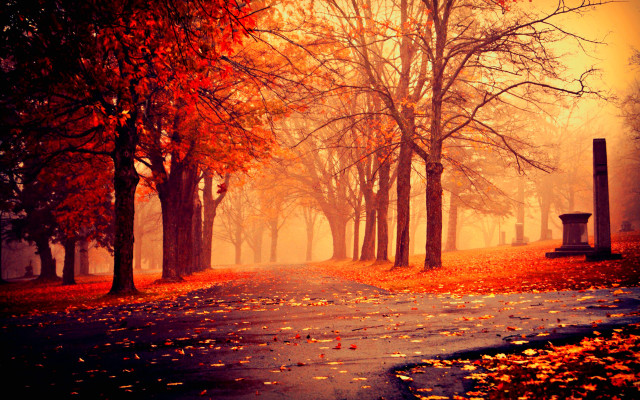 Park path trees leaves bench #2 free wallpaper - medium preview image