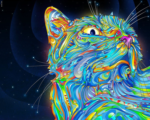 Colorful cat blue background stars free wallpaper - medium preview image