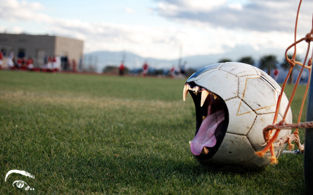 Ball mouth soccer goalie open free wallpaper - medium preview image