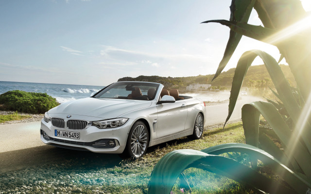 White car ocean pine tree free wallpaper - medium preview image