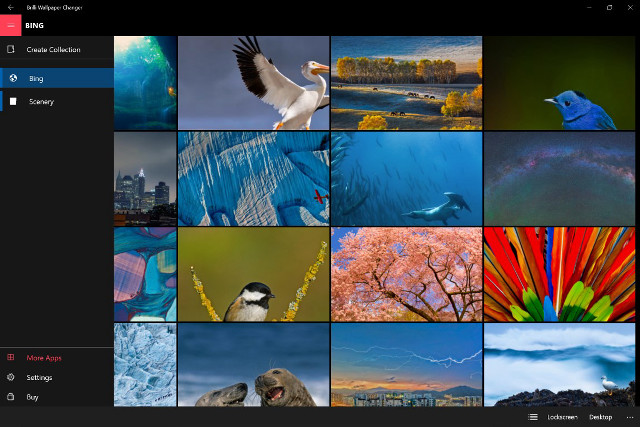 Birds flowers collage nature colorful free wallpaper - medium preview image