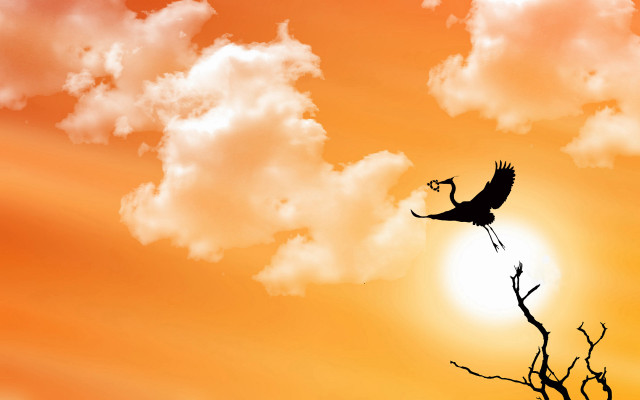 Bird flying sunset clouds tree free wallpaper - medium preview image