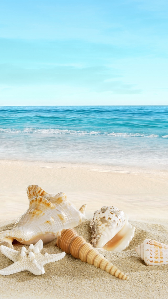 Seashell starfish beach sand ocean free wallpaper - medium preview image