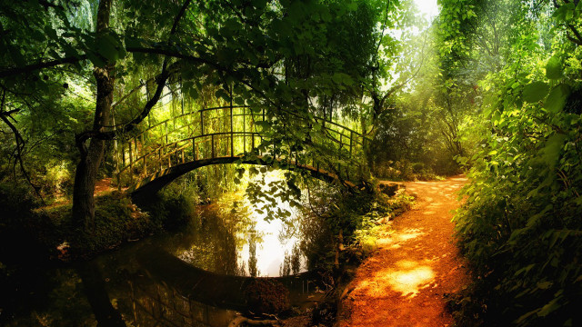 Bridge stream forest path water free wallpaper - medium preview image