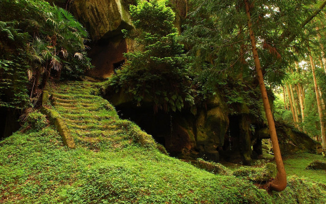 Lush green forest staircase cave #2 free wallpaper - medium preview image