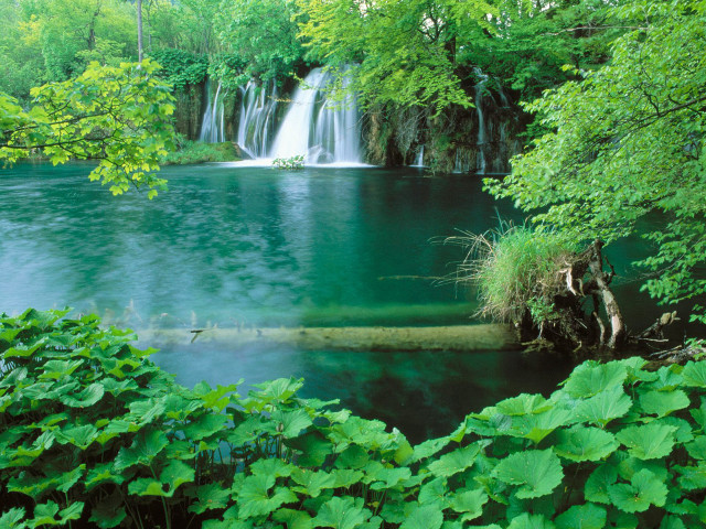 Waterfall forest lake nature green free wallpaper - medium preview image