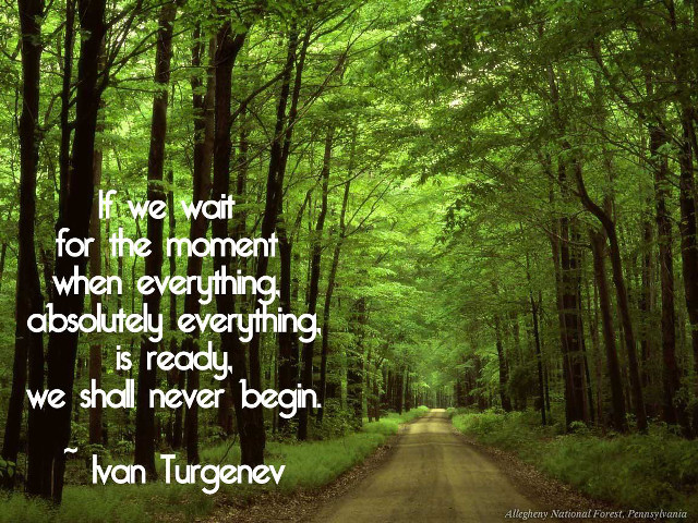 Road forest quote moment wait free wallpaper - medium preview image