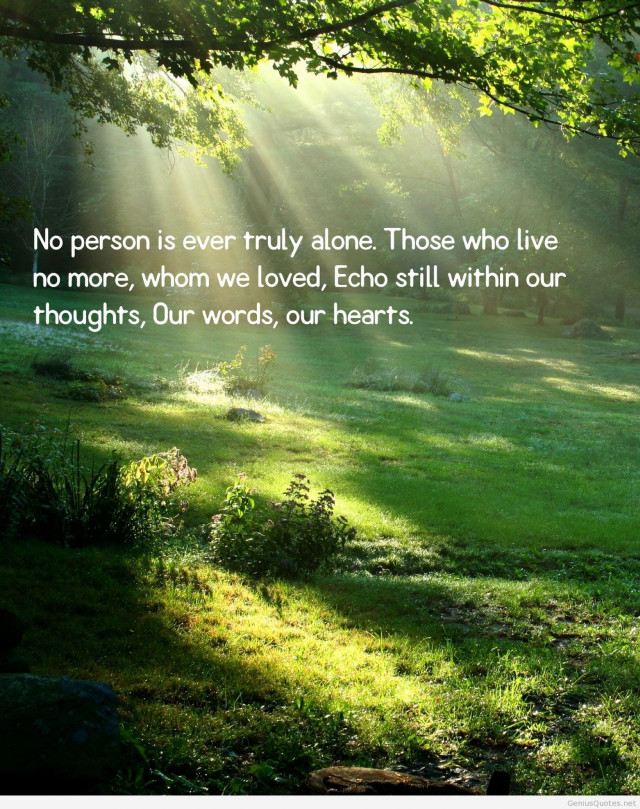 Sunny day woods quote light free wallpaper - medium preview image