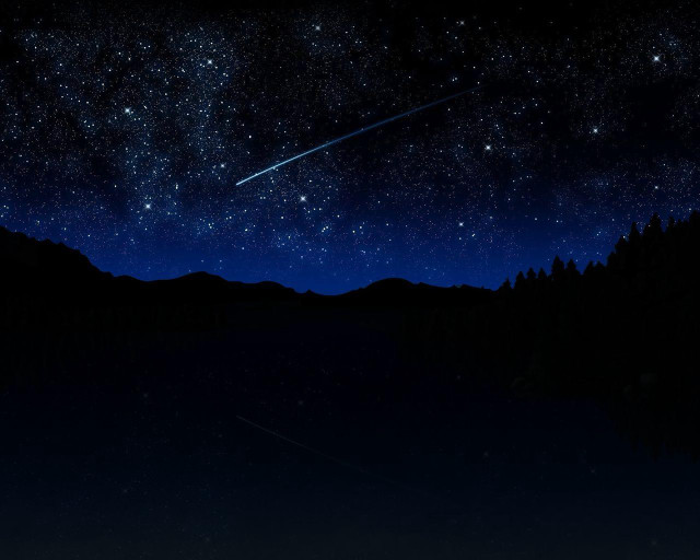 Night sky shooting star forest #3 free wallpaper - medium preview image