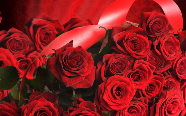 Red roses red ribbon red free wallpaper - medium preview image