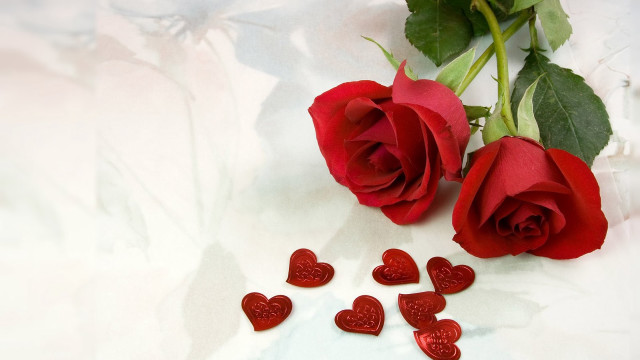 Red roses table hearts romantic free wallpaper - medium preview image
