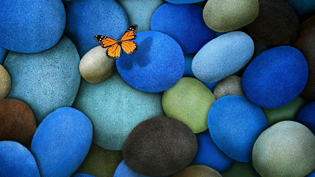 Butterfly sitting rock blue green #5 free wallpaper - medium preview image