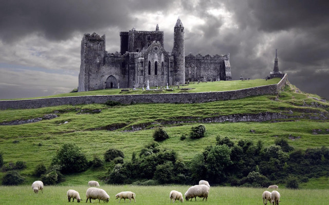Sheep grazing field castle stormy free wallpaper - medium preview image
