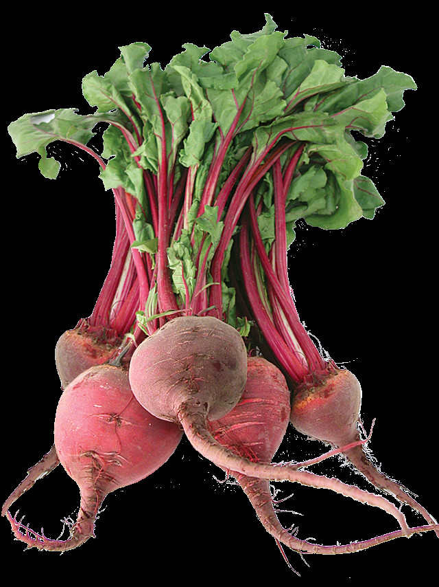 Radishes leaves liquid tube computer free wallpaper - medium preview image