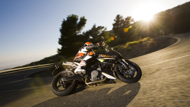 Motorcycle driving road hill trees free wallpaper - medium preview image