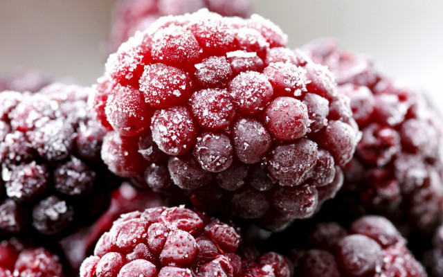 Frozen raspberries close up white free wallpaper - medium preview image