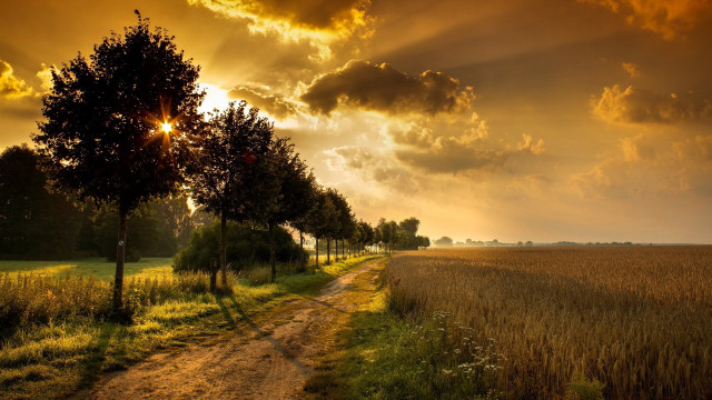 Dirt road trees grass sunset #3 free wallpaper - medium preview image