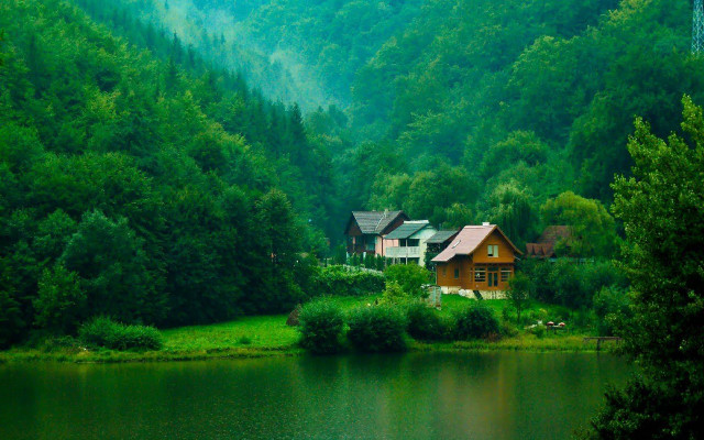 House forest lake background nature #2 free wallpaper - medium preview image