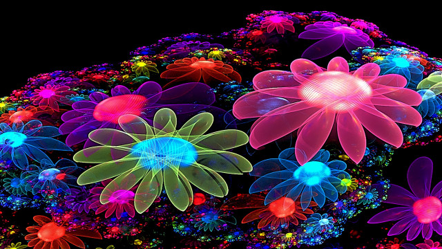 Flowers dark black background group free wallpaper - medium preview image