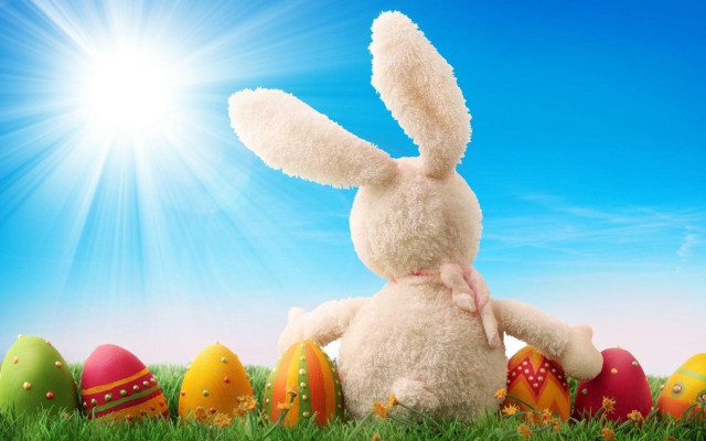 Stuffed rabbit grass eggs blue free wallpaper - medium preview image