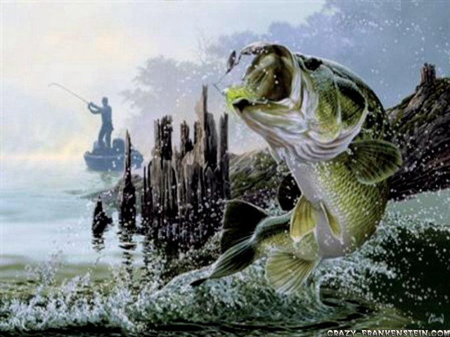 Fish jumping water fishing rod free wallpaper - medium preview image
