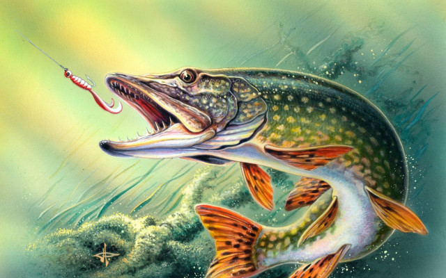 Fish hook mouth fish aurora free wallpaper - medium preview image