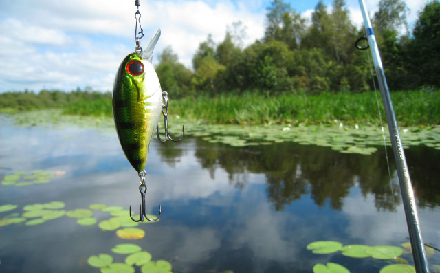 Fish caught fishing rod pond free wallpaper - medium preview image