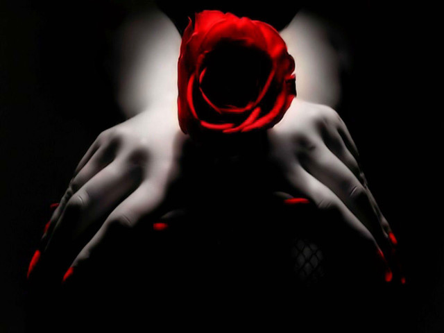 Red rose black background hands free wallpaper - medium preview image