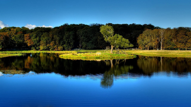 Lake forest bridge building clouds free wallpaper - medium preview image