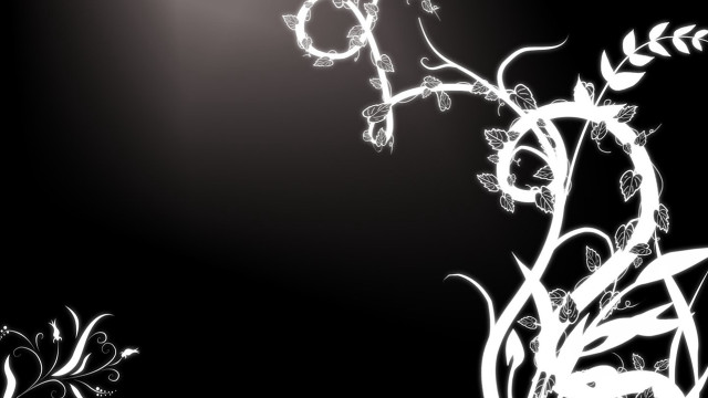 Black white flower light background free wallpaper - medium preview image