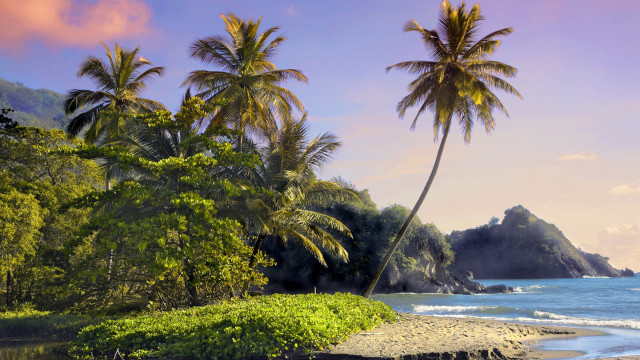 Beach palm rocky waves mountain free wallpaper - medium preview image