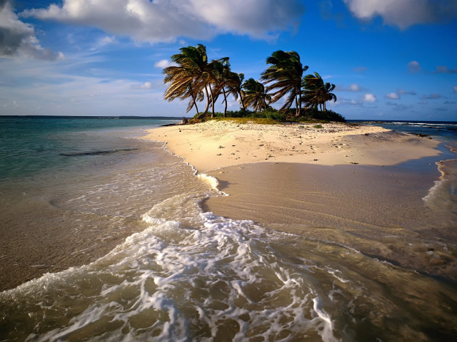 Beach small island palm trees free wallpaper - medium preview image